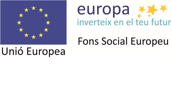 Fons Social Europeu