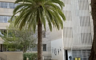 Calendari del curs escolar 2025/26