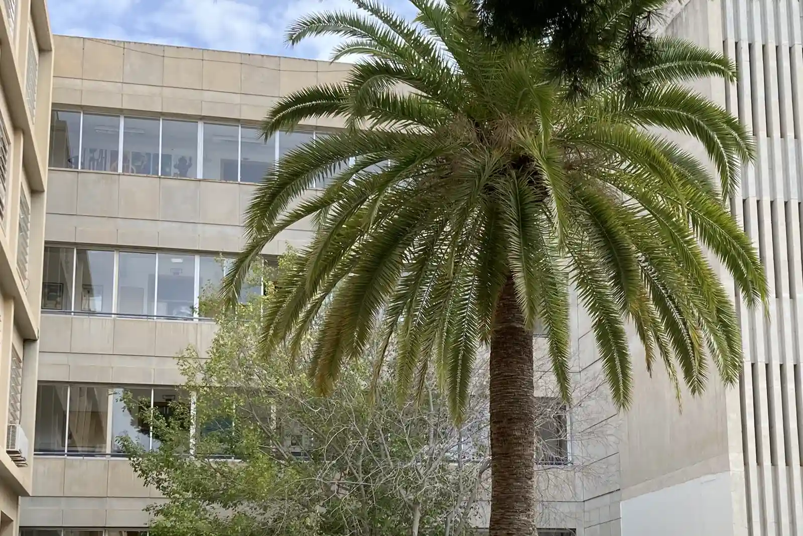 El pati del centre